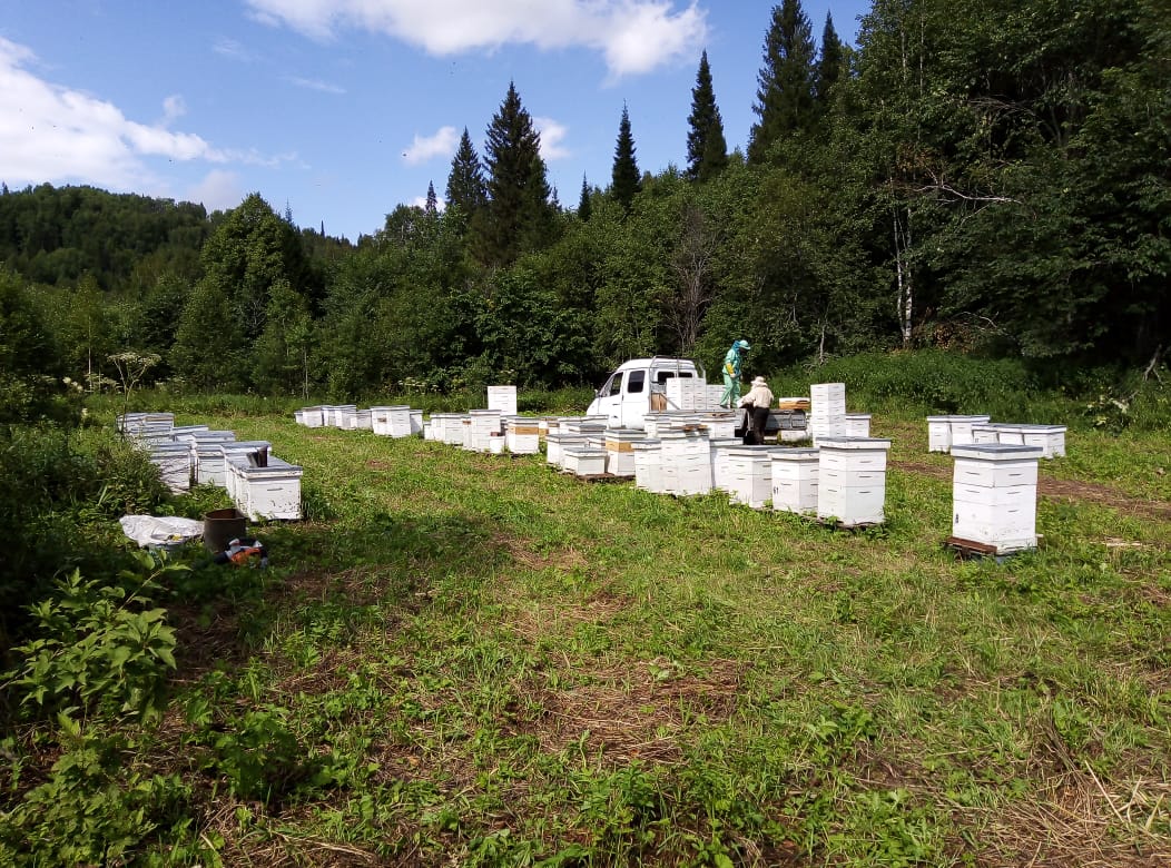 Агропарк5